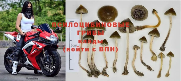 mdma Лиски