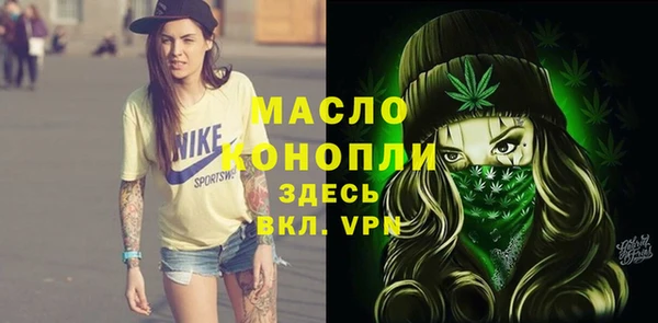 молекула духа Лихославль