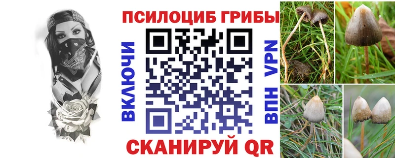Псилоцибиновые грибы мухоморы где купить наркоту Волгоград