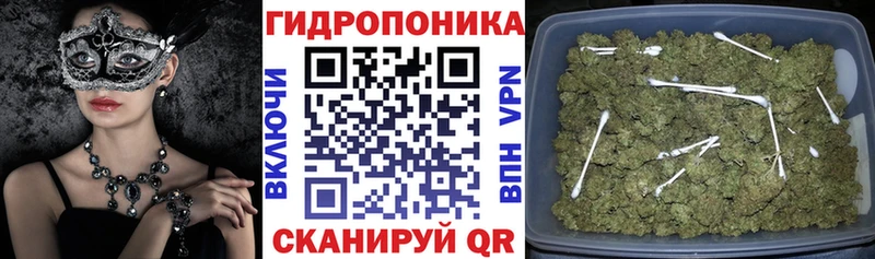 Бошки марихуана Bruce Banner  Волгоград 